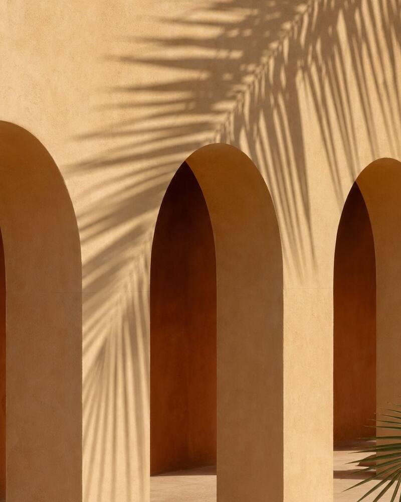 Mid-century arches and a palm shadow on a stucco wall
